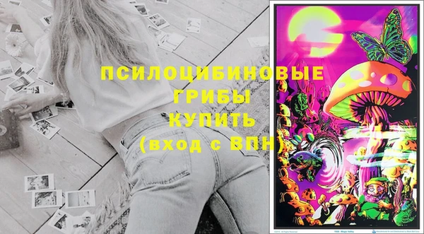 дмт Аркадак