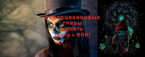 сатива Армянск