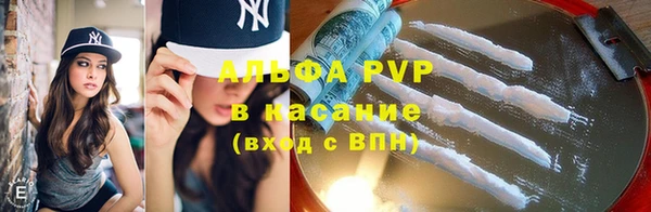 сатива Армянск