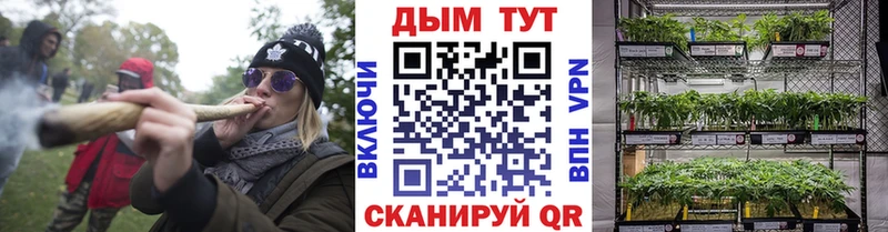 Канабис гибрид  Маркс 